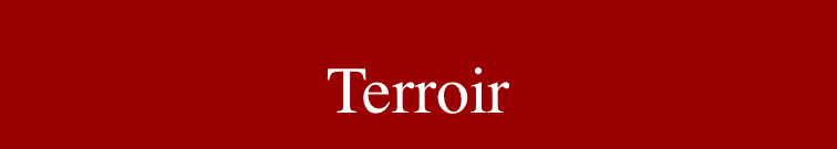 Terroir